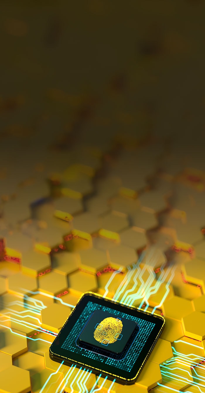 A computer chip representing digital security.