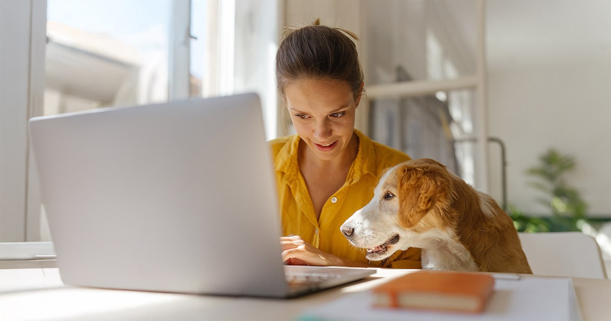 If that pet listing seems too cute to be true, it probably is