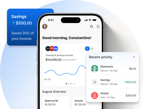 Norton Money Image Graphic.